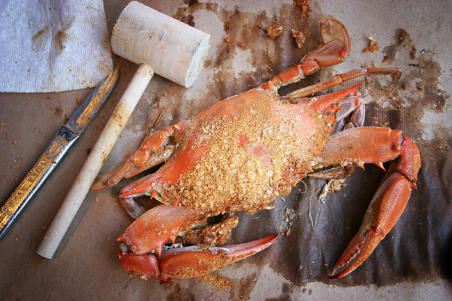 Steamed Crab Mallet Carvel Knife